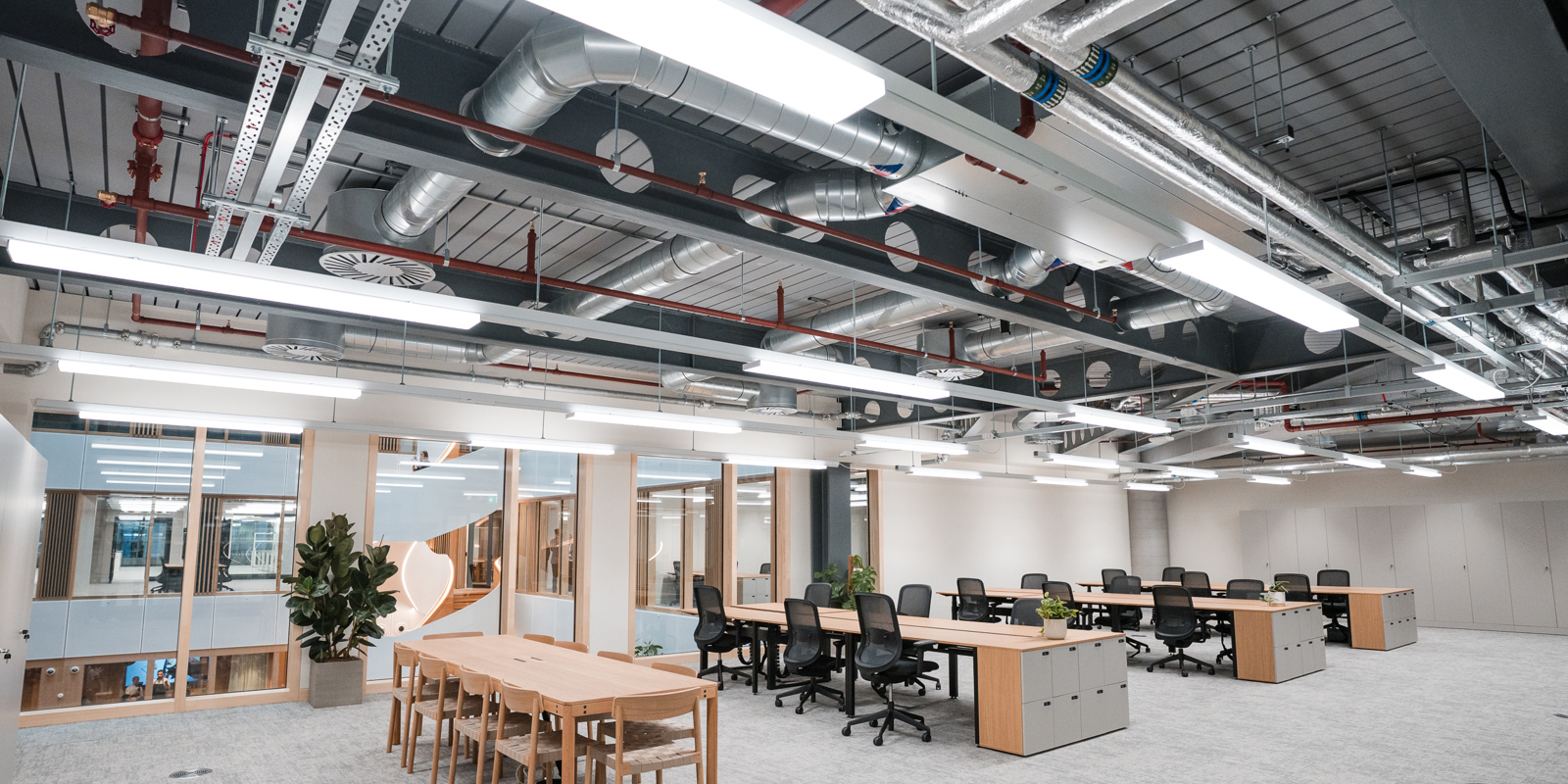 Office Space 1 Triton